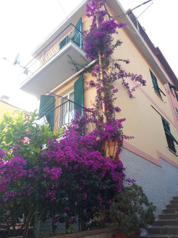 Da Rita Apartment San Terenzo Ngoại thất bức ảnh